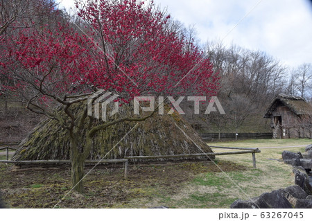 千曲市森将軍塚古墳館 科野の村 復元住居 千曲市森将軍塚古墳館 科野の村 復元住居 63267045
