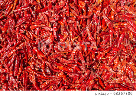 Dried red hot chili peppers, outdoor sun drying method. 63267306