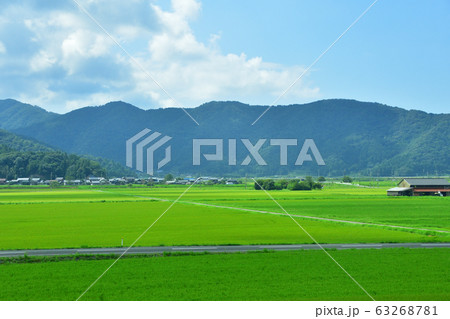 小浜線の沿線風景 63268781