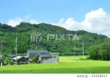 小浜線の沿線風景 小浜線の沿線風景 63268814