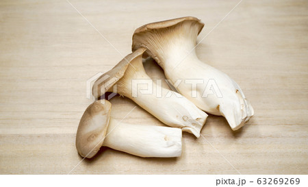 エリンギ 63269269