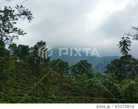 Little Adam peak, mountain in the fog view from 63270050