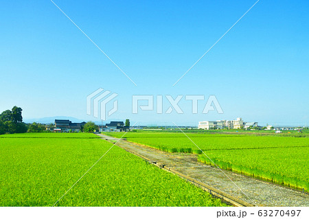 あいの風とやま鉄道の沿線風景 63270497
