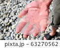 A small transparent jellyfish in the hands of a man. Rescue of animals that swam to the shallow shore. 63270562