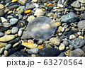 Medusa swims in the clear water of the Black sea. Warm coastal waters are a favorable environment for small jellyfish. 63270564