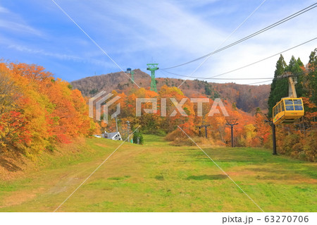 【山形県】蔵王温泉スキー場の紅葉 63270706