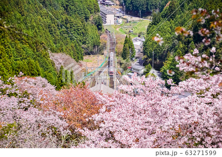 吉野の桜 -Sakura- Cherry Blossoms in Yoshino, Nara 吉野の桜 -Sakura- Cherry Blossoms in Yoshino, Nara 63271599