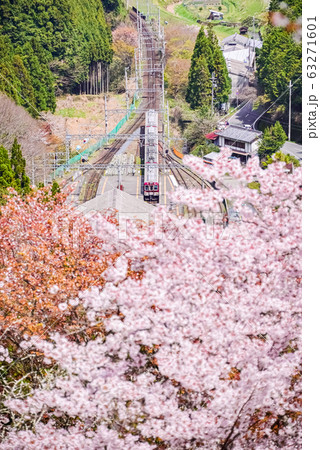 吉野の桜 -Sakura- Cherry Blossoms in Yoshino, Nara 63271601