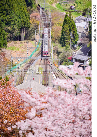 吉野の桜 -Sakura- Cherry Blossoms in Yoshino, Nara 吉野の桜 -Sakura- Cherry Blossoms in Yoshino, Nara 63271603
