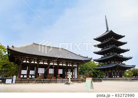 奈良 興福寺 東金堂と五重塔 奈良 興福寺 東金堂と五重塔 63272990