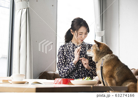 ドックカフェ　女性　犬 63274166
