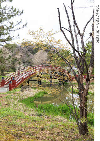 称名寺（早春） 63274461