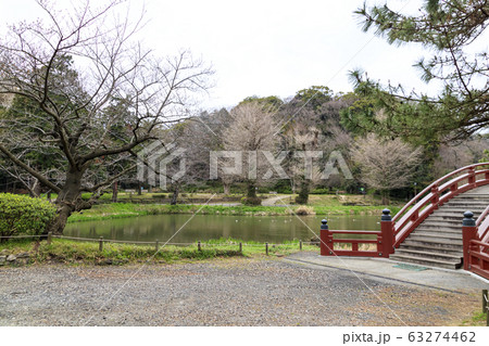 称名寺（早春） 63274462