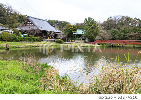 称名寺（早春） 63274510