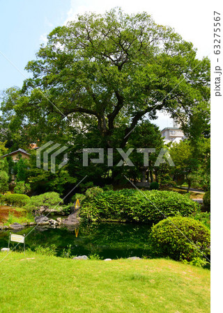 祇園甲部歌舞練場庭園 祇園甲部歌舞練場庭園 63275567