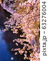 目黒川サクラ1 63276004
