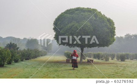 A woman in traditional saree at green park 63276592