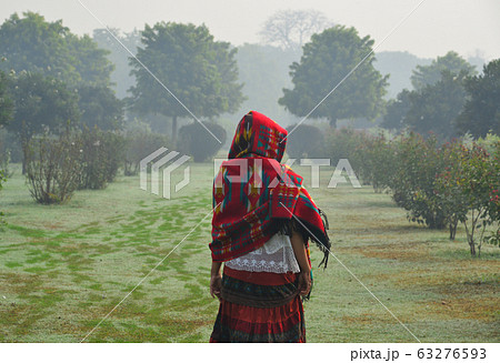 A woman in traditional saree at green park 63276593