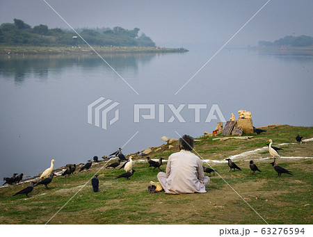 Indian man feeding birds on riverbank Indian man feeding birds on riverbank 63276594