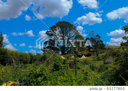 ホビット村 ホビット村 63277603