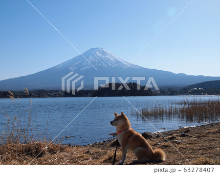 河口湖畔にて 63278407