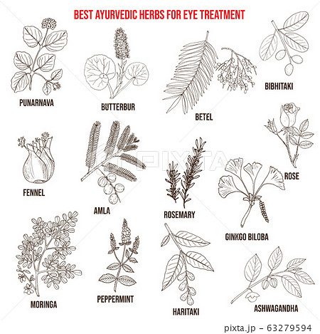 Ayurvedic herbs for eye treatment 63279594