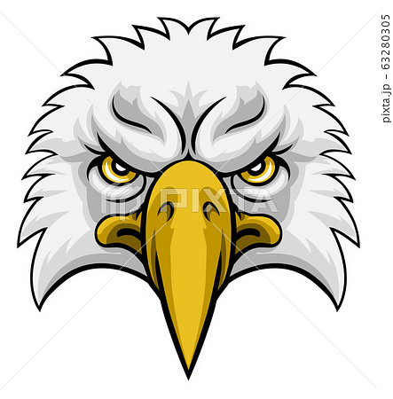 Eagle Head Mascot Faceのイラスト素材