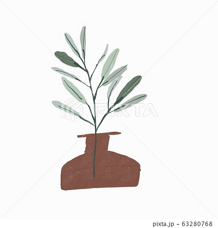 オリーブと薬瓶 観葉植物のイラスト素材