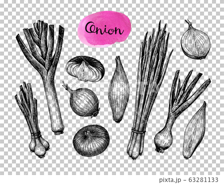 Onions, leeks and scallions. 63281133