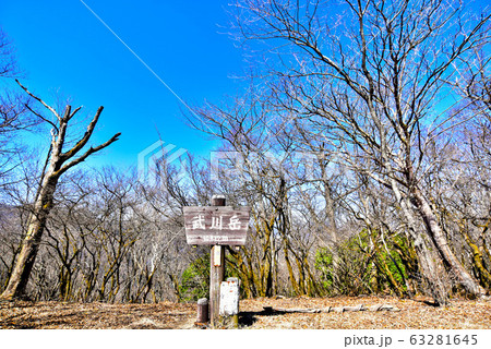 奥武蔵 縦走7 武川岳山頂 63281645
