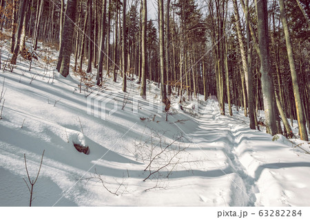 Big Fatra mountains, Slovakia, snowy landscape Big Fatra mountains, Slovakia, snowy landscape 63282284