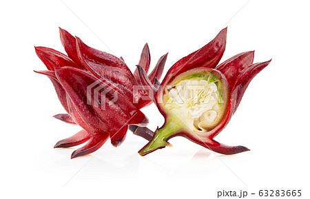 roselle hibiscus on white background roselle hibiscus on white background 63283665