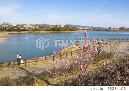 愛知県 尾張旭市 維摩池の写真素材 [63284106] - PIXTA