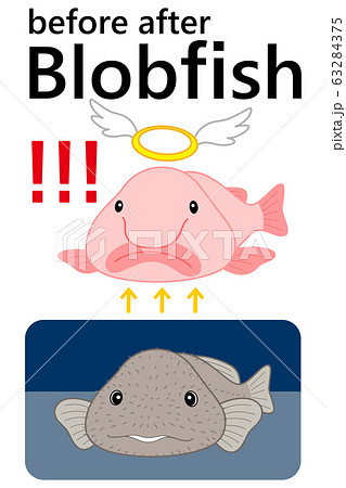 ブロブフィッシュ ニュウドウカジカ ビフォーアフター セット ベクター イラスト 63284375