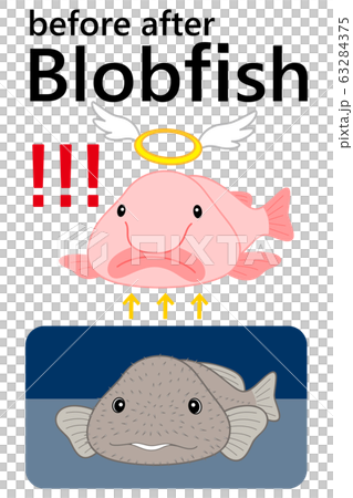 ブロブフィッシュ ニュウドウカジカ ビフォーアフター セット ベクター イラスト 63284375