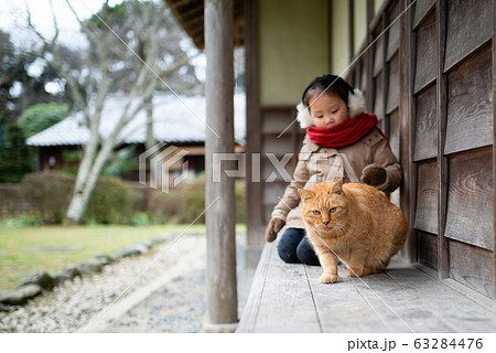 猫と遊ぶ女の子 猫と遊ぶ女の子 63284476