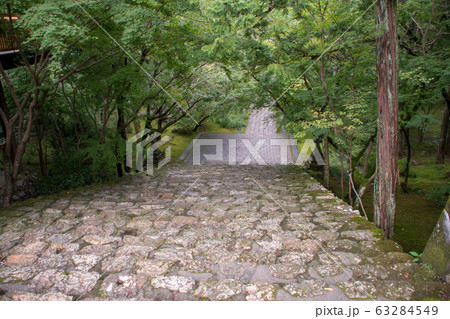 高知市竹林寺の境内 高知市竹林寺の境内 63284549