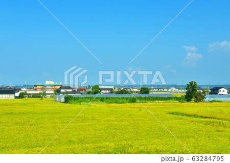 IRいしかわ鉄道車両からの沿線風景 63284795