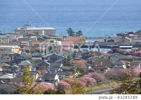 春の河津町を行く、伊豆急行線8000系電車 63285289