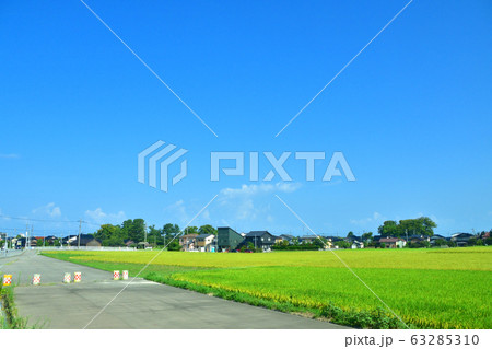 北陸本線の沿線風景 北陸本線の沿線風景 63285310