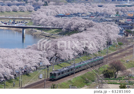 東北本線 お花見列車 701系2 東北本線 お花見列車 701系2 63285360
