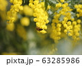 ミモザとミツバチ 63285986