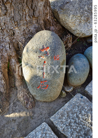 さし石(於咲稲荷神社 波除稲荷神社)東京都中央区佃 さし石(於咲稲荷神社 波除稲荷神社)東京都中央区佃 63285995