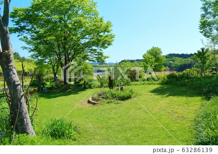 緑いっぱいの春の庭 63286139
