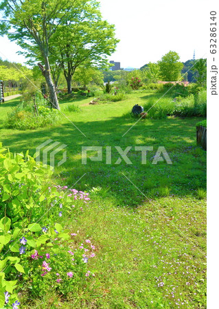 緑いっぱいの春の庭 63286140