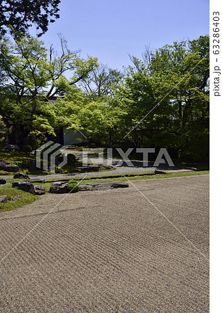 醍醐寺　三方院庭園 63286403