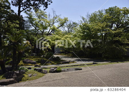 醍醐寺　三方院庭園 63286404