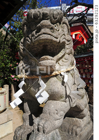 素盞嗚神社の狛犬 素盞嗚神社の狛犬 63292123