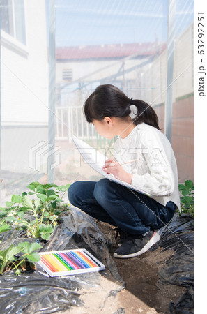 いちごの苗をスケッチする小学生の女の子 いちごの苗をスケッチする小学生の女の子 63292251