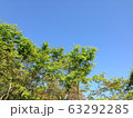 空 63292285